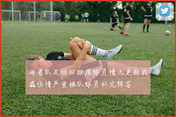 海港队足协杯缺席球员情况更新武磊伤情严重梯队球员补充阵容
