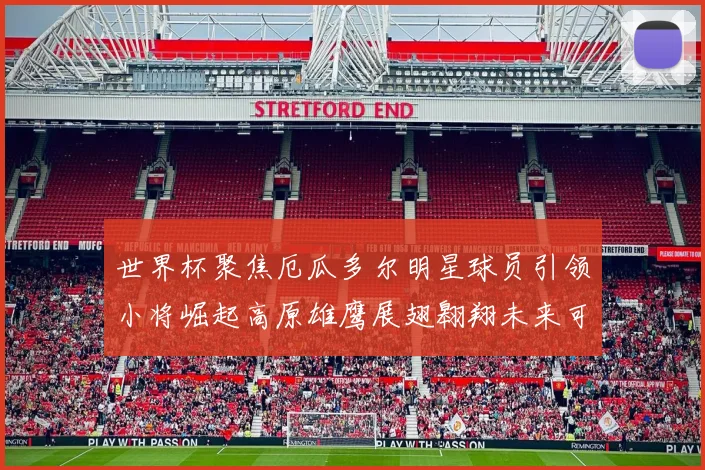 世界杯聚焦厄瓜多尔明星球员引领小将崛起高原雄鹰展翅翱翔未来可期